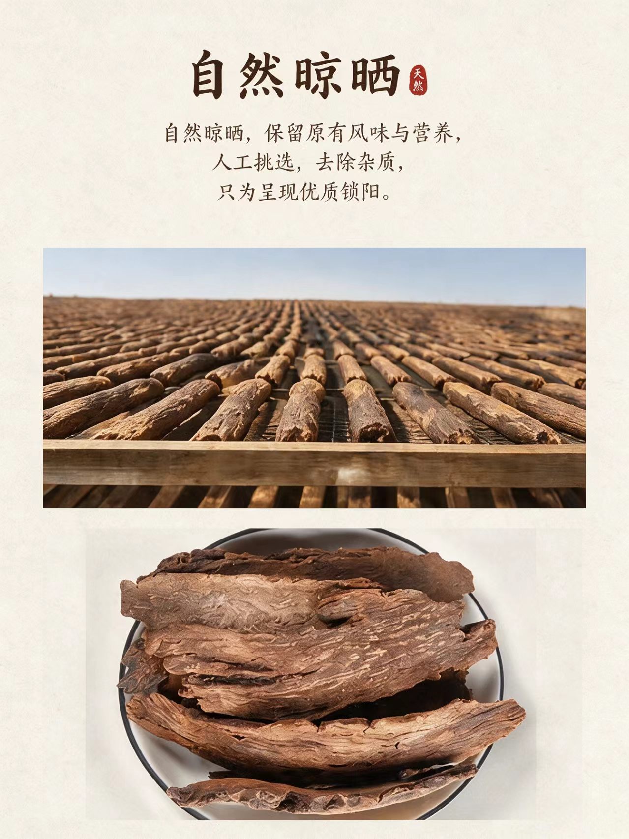 Cynomorium Songaricum Slices Suo Yang Dried Herb for Tea Wine and Decoction 1000g quality and texture