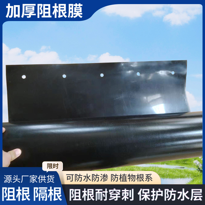 阻根膜阻根板耐根防穿刺屋顶花园种菜花池隔根层HDPE防水板防渗膜