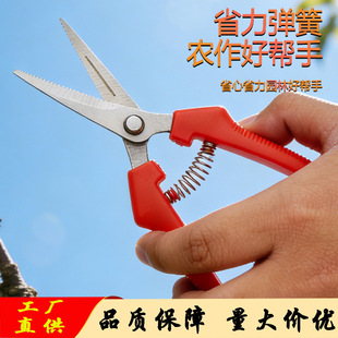 �S�ҬF؛���P���֦����ժ�����߹������Ѽ�ϡ�������������N�^��