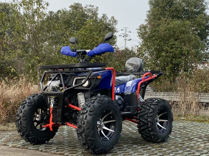 Arctic Sky 工場直販 CE 認証大人用四輪駆動オフロード ATV 4x4 カート 2 人乗りオートバイ ATV|undefined