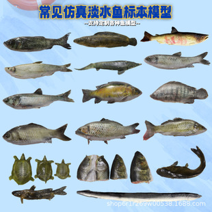 ���Ʒ�����~�a�~ģ�͙����͏dչʾ���ߵ�ˮ�~���~�����~ģ��