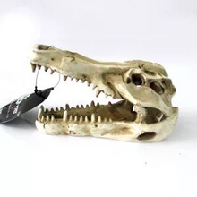 �ZĦns-60���x��������֩��ϐ�����쾰��ܶ�Ѩ���b��쾰