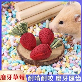 其他小宠用品;鸟类;其他小宠