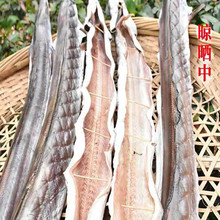 海鳗鱼干 海鳗鱼干品牌 图片 价格 海鳗鱼干批发 阿里巴巴