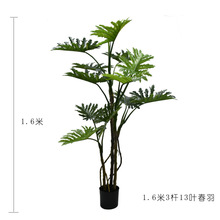 �҃ȷ���Gֲ���� ϲ����������ֲ������ �҃ȿ͏d�辰 �����~