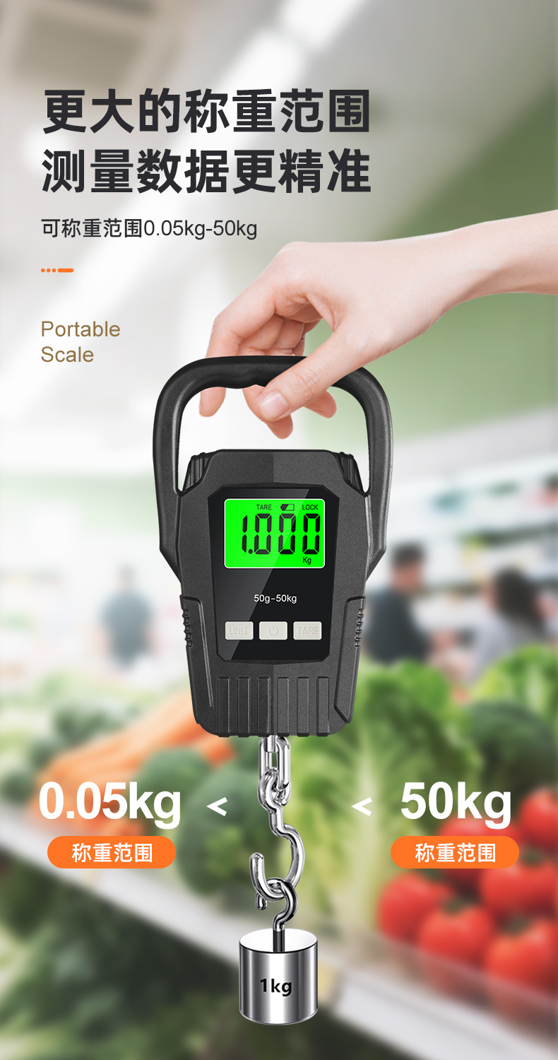 Portable Electronic Hanging Scale Luggage Express Fishing Scale Handheld Spring Scale Multifunctional Precise Digital Scale
