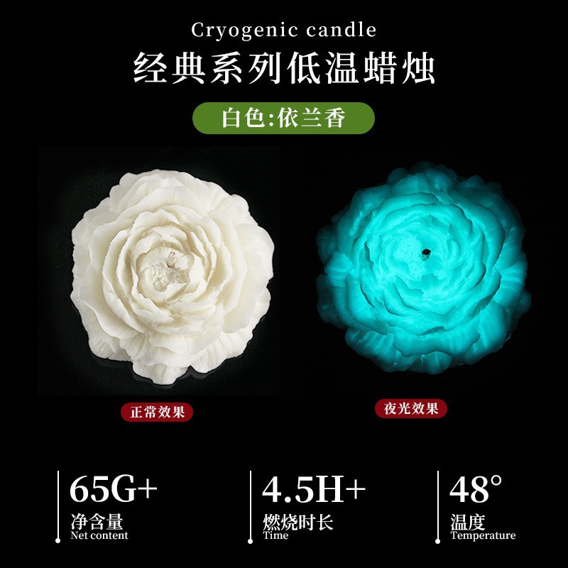 일랑일랑 - 흰색(형광 버전)