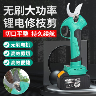 oˢ늄Ӽ֦ʽ@늼֦늼Ӽ֦