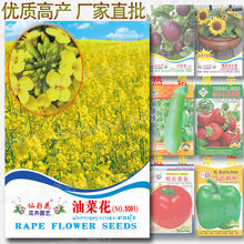 冬油菜种植技术浅析