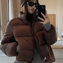 �����̿���q��Ů2025�����¿�С�������I������W�����װ����q