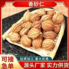 香料批发现货香砂金砂仁干净阳春砂仁香砂仁个香料春砂仁大货熟食