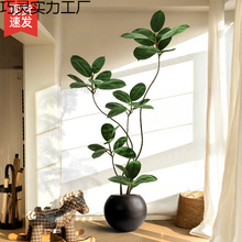 ����Gֲ�ڽ�����Ƥ��߶��p�ݿ͏d�[��������؁����L������ֲ��