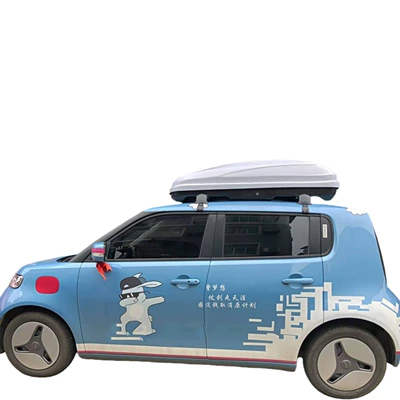 Ultra-Thin Storage Roofbox, Roof box