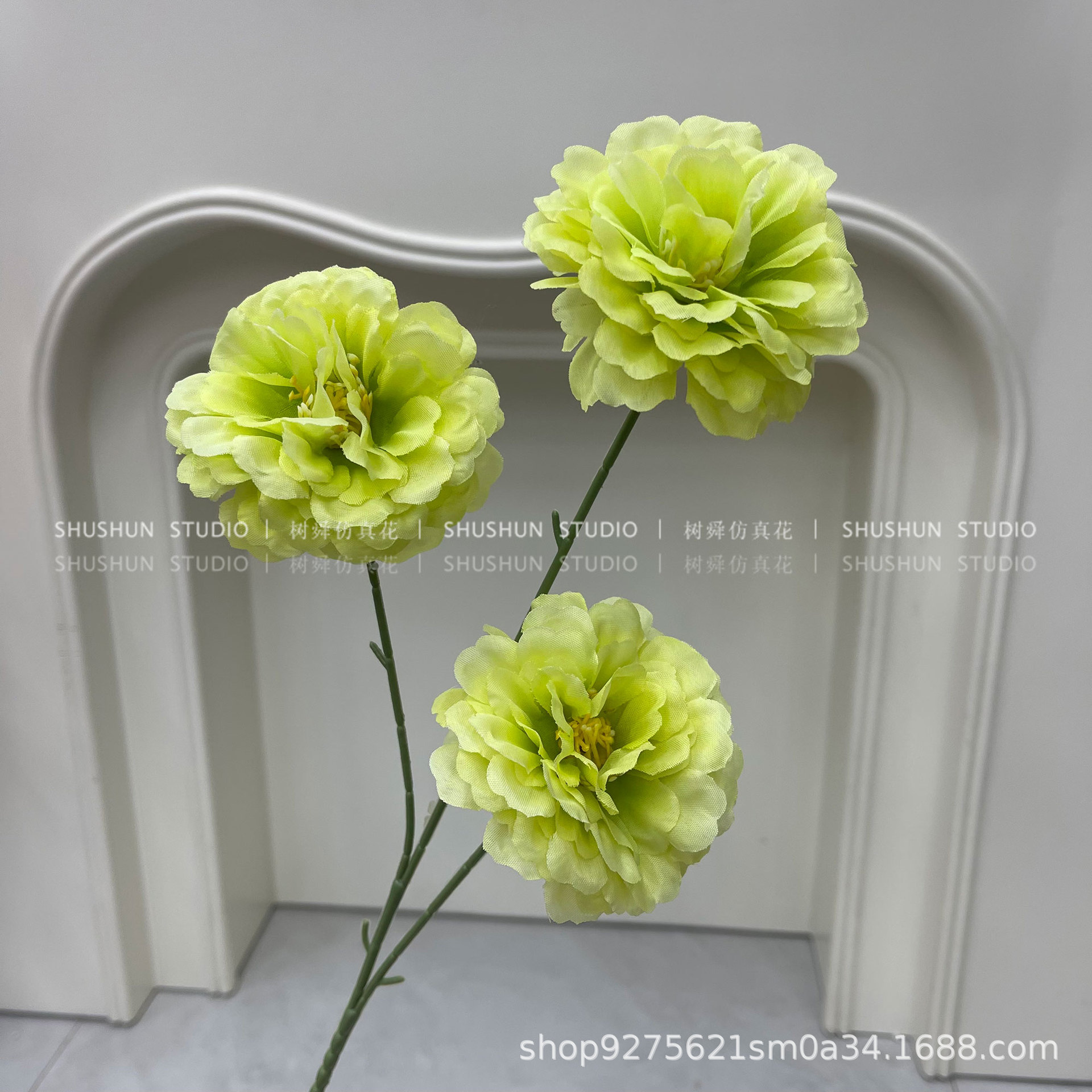 Hibiscus de 3 cabezas-verde claro