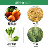 Ченгду Новый Чаоян Шуофенг 481 Фрукт 14-Петроатисийя Моссикулиновый Алкогольный Регулятор Расти