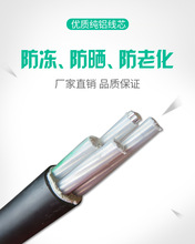 �����Xо��|��4о10 16 25 35 50ƽ���X�������ľ��ܿ��z�b��|