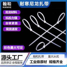 厂家批发国标坚实PA66尼龙塑料扎带 4.8*200 耐寒自锁式尼龙扎带