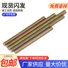 ���aM6�o�^ȫ���ݽz�ݗU ��ˇƷ�Ҿߟ��ȫ�ݼy���l�p�^�B���ݗU