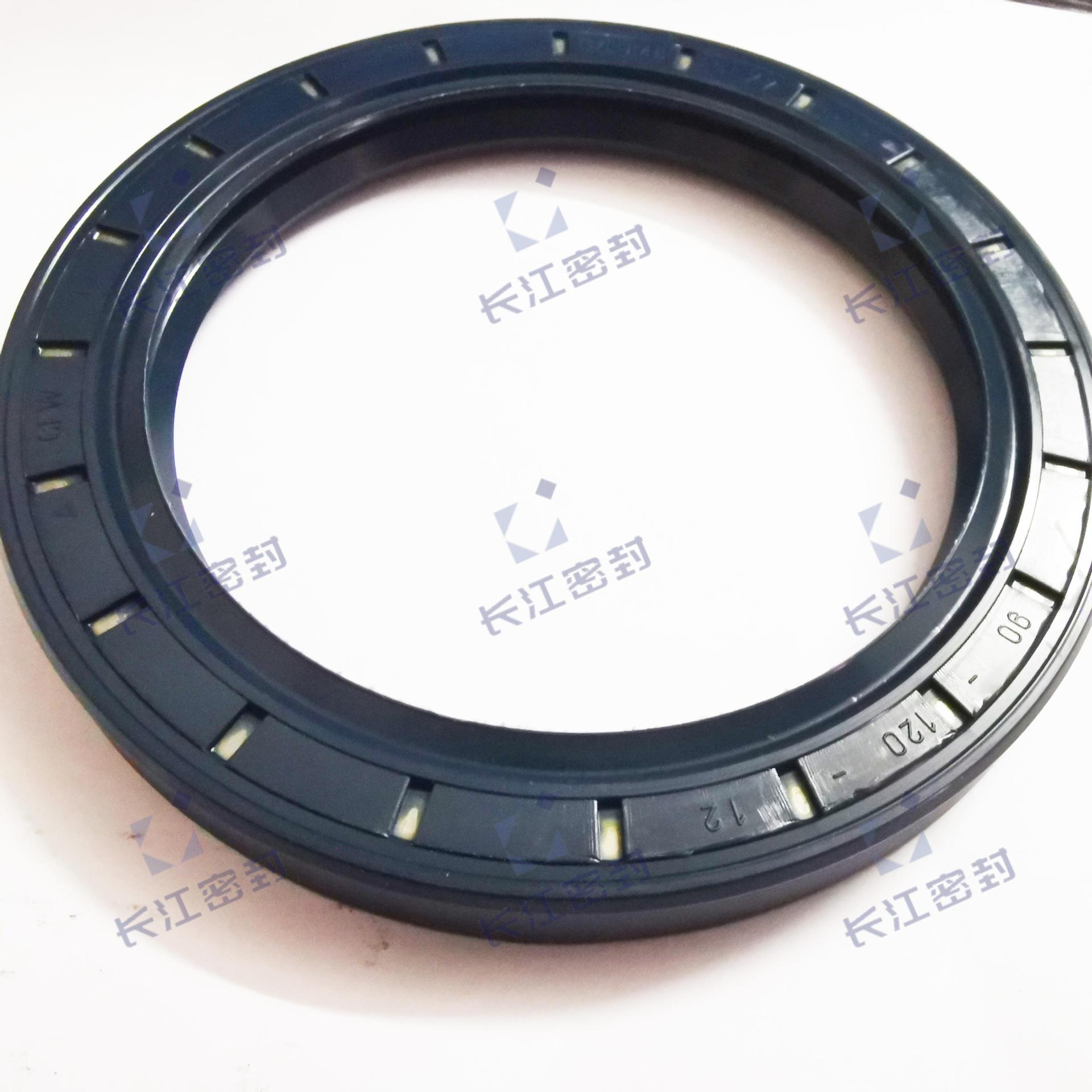 RST-TCV (394973) 荷兰 进口骨架油封 ERIKS  RST