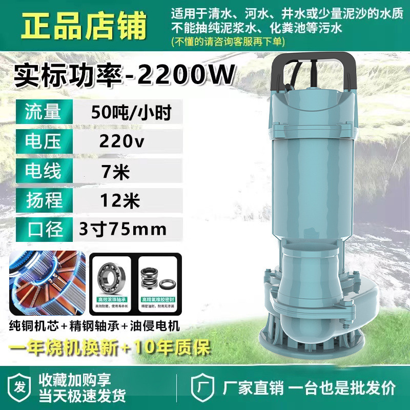 Shanghai auténtica bomba sumergible 220V bomba de agua de gran calibre 3 pulgadas 4 pulgadas sin escobillas de alto flujo de elevación bomba de agua