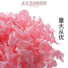 永生花B-安娜木绣绣球100g盒/装真花DIY制作礼盒花材厂家直发