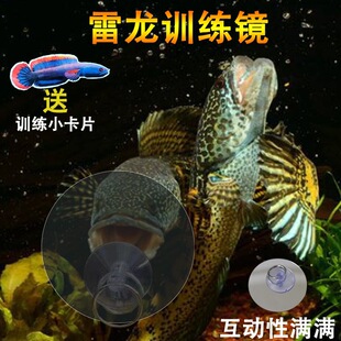 �����~Ӗ���R�Ӷ��~�_�h�p��͸������ҧ���ⶺ�~ָ�h��͸ҕ�R