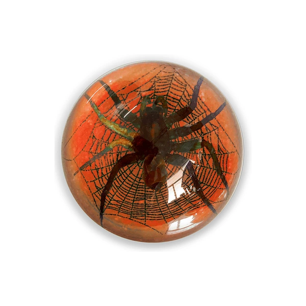 6.4cm semicircle red sand spider