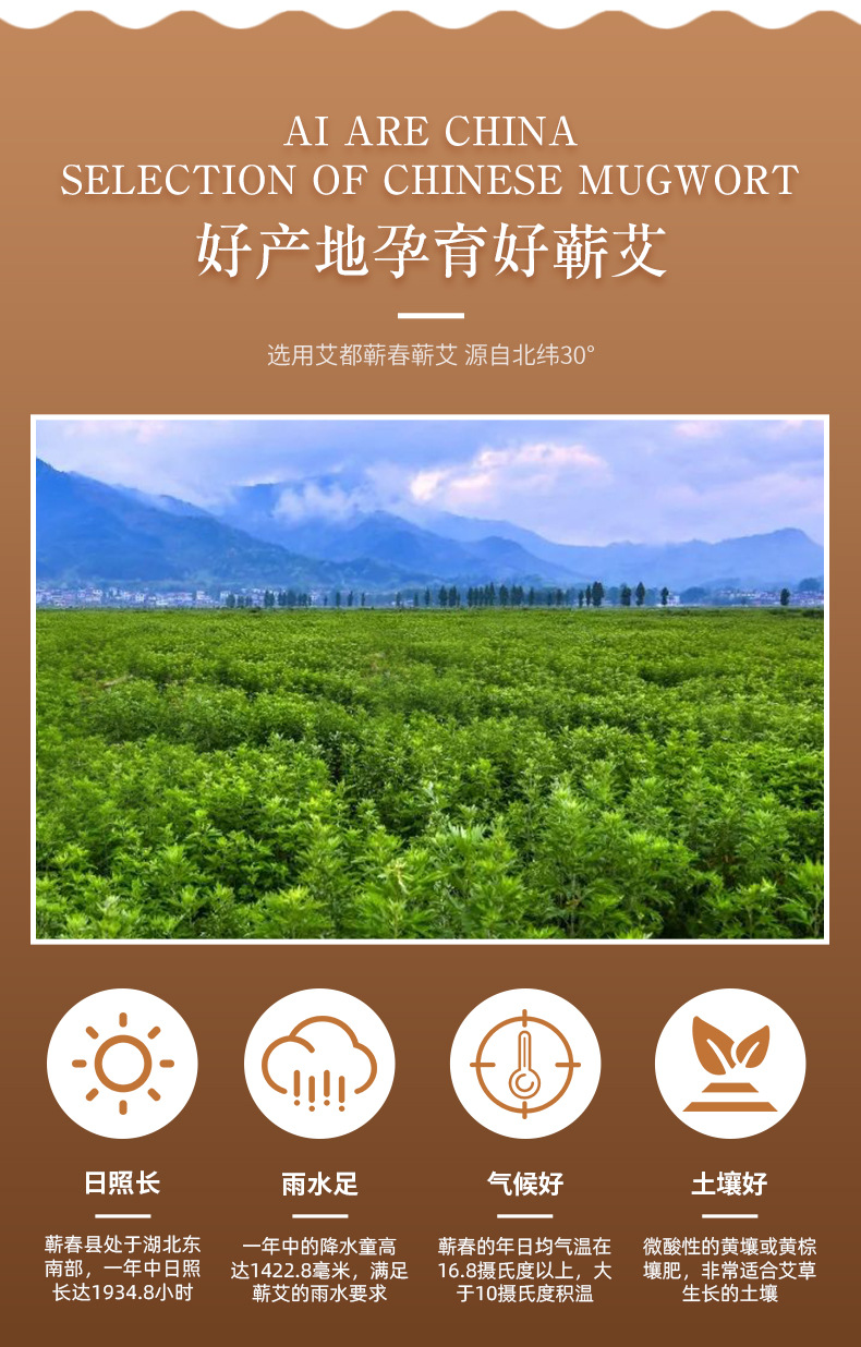 Premium Three Year Aged Qichun Mugwort Floss 8 Dao Grade for Moxibustion specifications