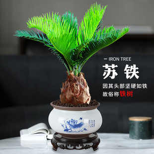 �F���K�F�辰�҃Ⱥ��Bֲ����ؔ���Ի����k����ͥԺ�F�����ļ�����