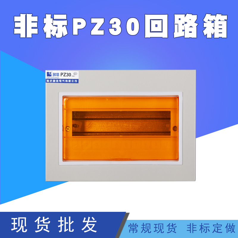 户内非标配电箱 家用塑料电表箱 PZ30照明配电箱