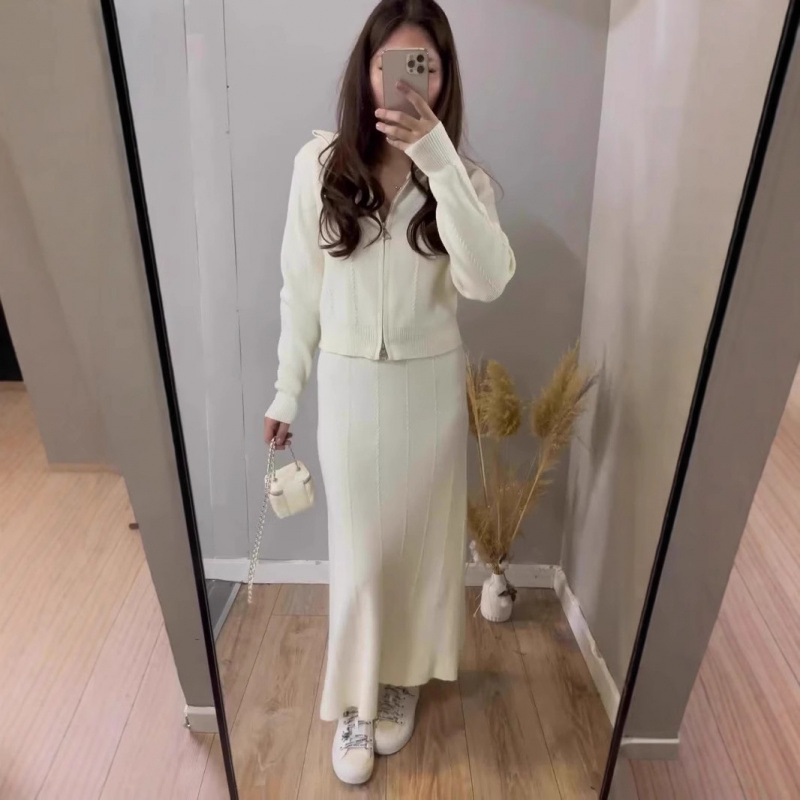 2025春の新型越境欧米の外国貿易の婦人服の純色の長袖のファスナーのコートの半身のスカートのファッションのスーツ|undefined
