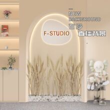 新款直播背景布高级感网红主播简约快手拍照拍摄3d立体直播间