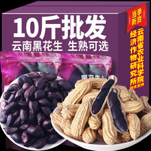 rԺϺڻ؛ĳڻնخaƤ