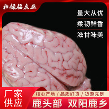 ���r÷��¹¹�^�� ¹��¹�X¹�^ �I�B�S�� ���ҿͷ�