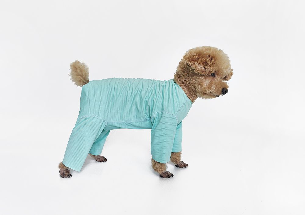 Svalkande hundklänning för bichon solskydd och insektskydd_voghion.com