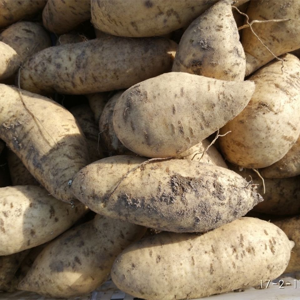 cd1d5f92-3c00-4f26-83c2-1d16592df539.jpe