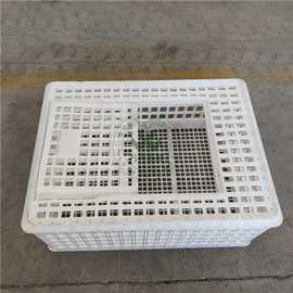 厂家批发成鸡周转筐 鸡鸭专用运输笼 鸡转运笼 多规格图片