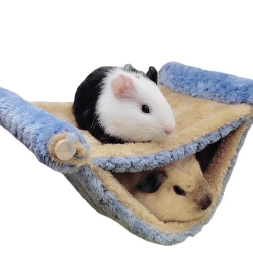 Dutch pig warm hanging bed sugar glider squirrel hammock golden bear chinchilla jumping platform hamster guinea pig hiding supplies