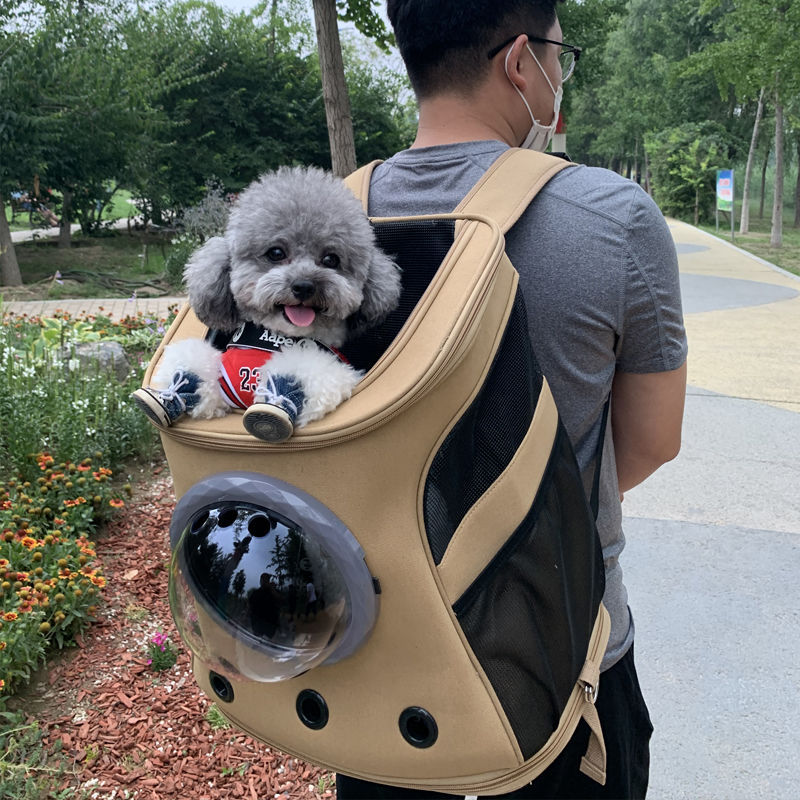 G4A大号宠物包狗狗背包外出双肩便携太空书包舱背柯基法斗猫20斤