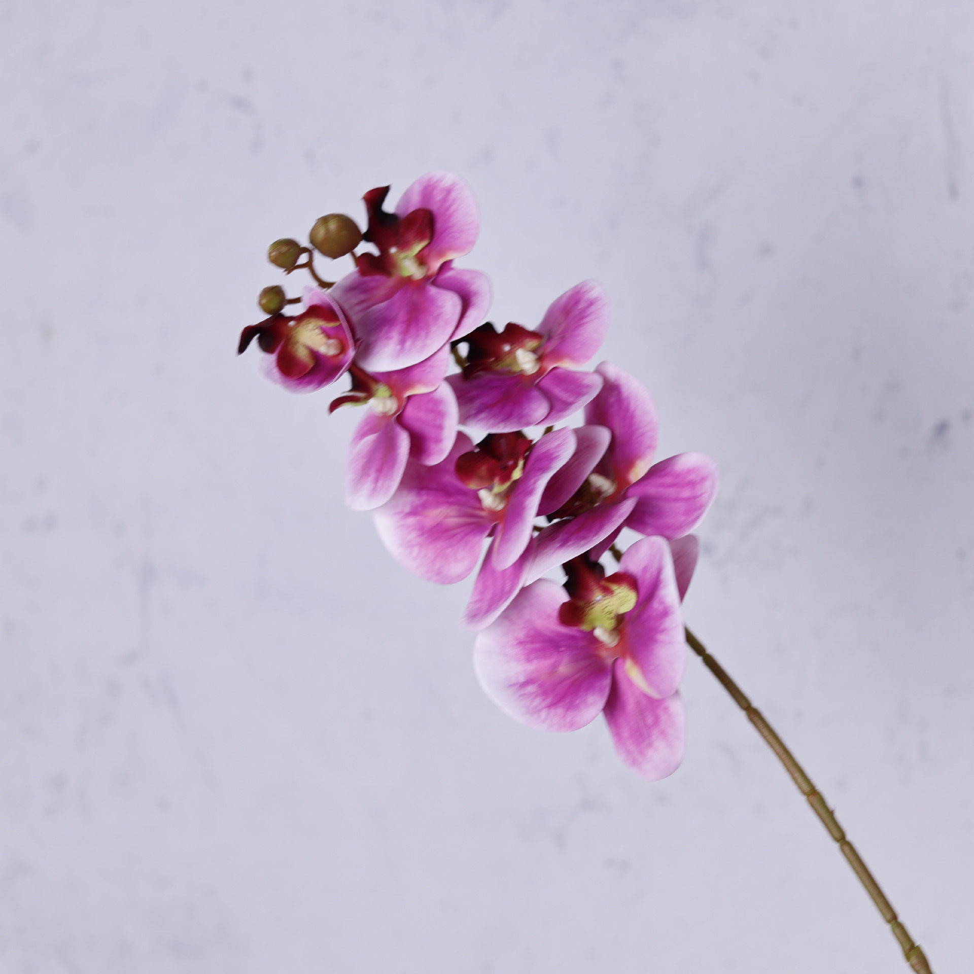 Impresión 3D de 7 cabezas de orquídeas mariposa flor de decoración de flores de alto nivel flor de nicho decoración floral decoración de sala de estar