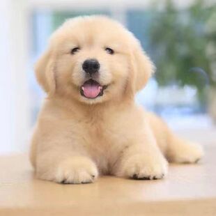 ���N��ë��Ȯ���w��Ǽܽ�ëȮ����혌�äȮ����Ȯ��ͥ�B���ﹷ