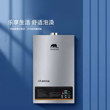外贸出口节能恒温燃气热水器电家用洗澡天然气煤气液化气12升16升