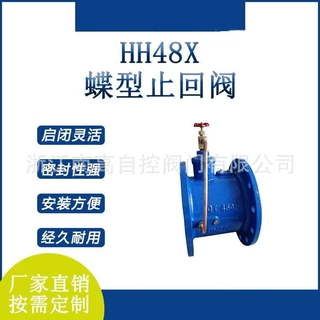 HH48/49X-16Q 球墨铸铁微阻缓闭蝶式止回阀法兰缓闭止回阀dn200
