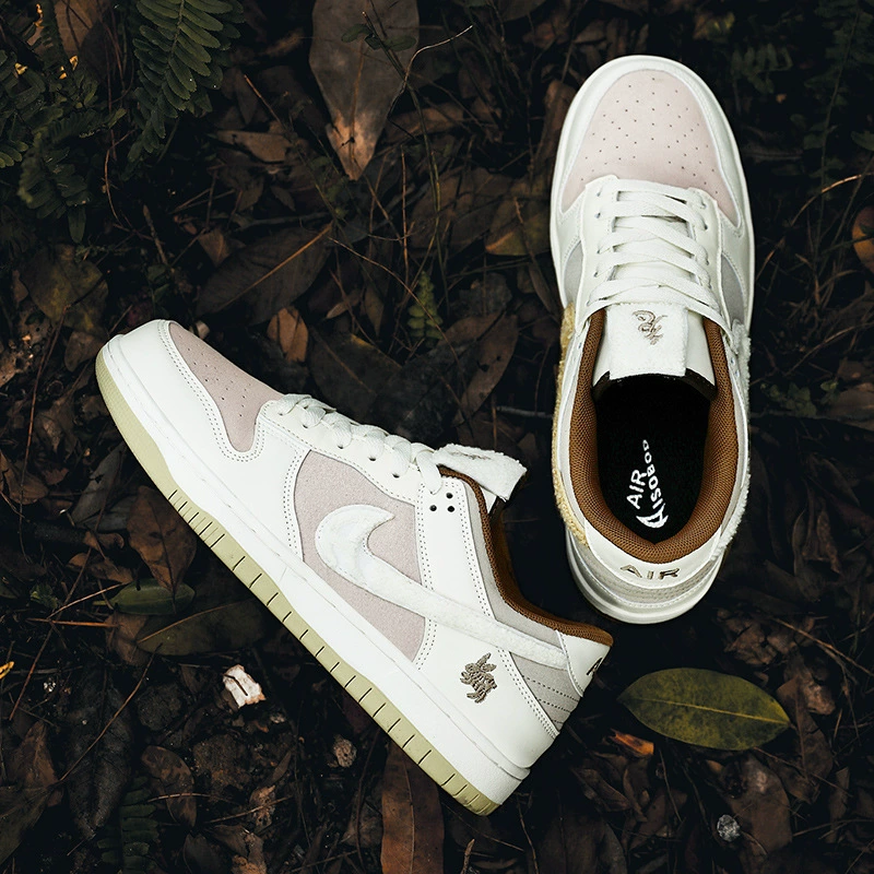 Air Jordan, Air Jordan 1, обувь, низкие кроссовки, год Кролика