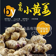 有机带泥鲜姜 2.5kg/盒云南有机鲜小黄姜支持一件代发产地直销
