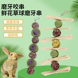 其他小宠用品;鸟类;喂食器