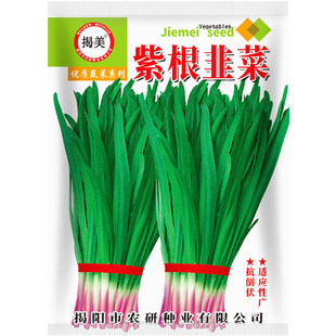 �����ϸ��²˷N�� ���~�ϸ��²˲��� �̨���Ԉ@ˇ�߲˷N��10��