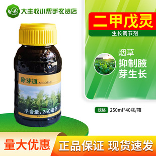 ������ѿͨ 330��/���������`��������Ҹѿ���L�{�����ݮa��Ʒ�|