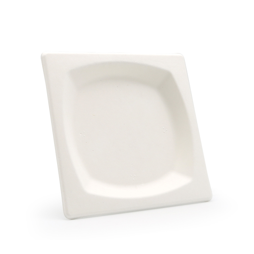 Shaogeng Oasis 21cm degradable compostable camping picnic protección del medio ambiente bagazo desechable placa cuadrada 500 unidades