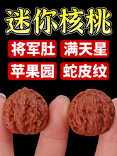 �������С��������ŮС�ְѼ���������������ָ�g������ʿ����